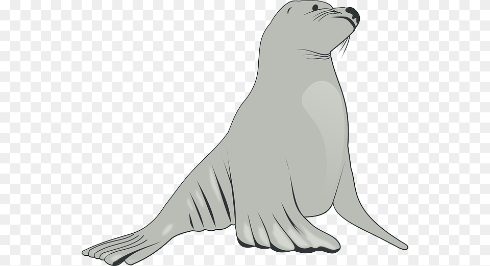 Cartoon Arctic Ice Snow Cute Lion Sea Lion Clipart, Animal, Mammal, Sea Life, Sea Lion Free Transparent Png