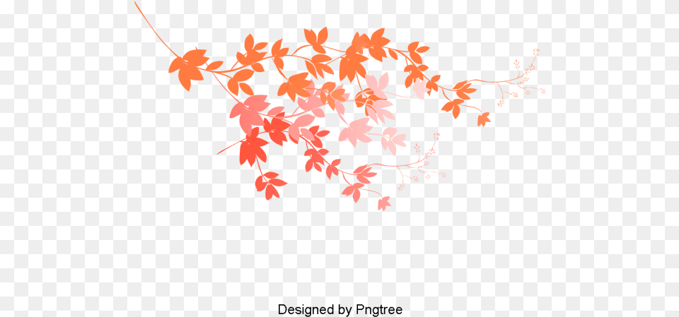 Cartoon Autumn Leaves Pattern, Leaf, Plant, Tree, Maple Png Image