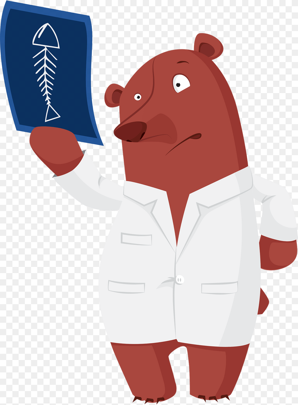 Cartoon Bear Clipart, Clothing, Coat, Animal, Mammal Free Png