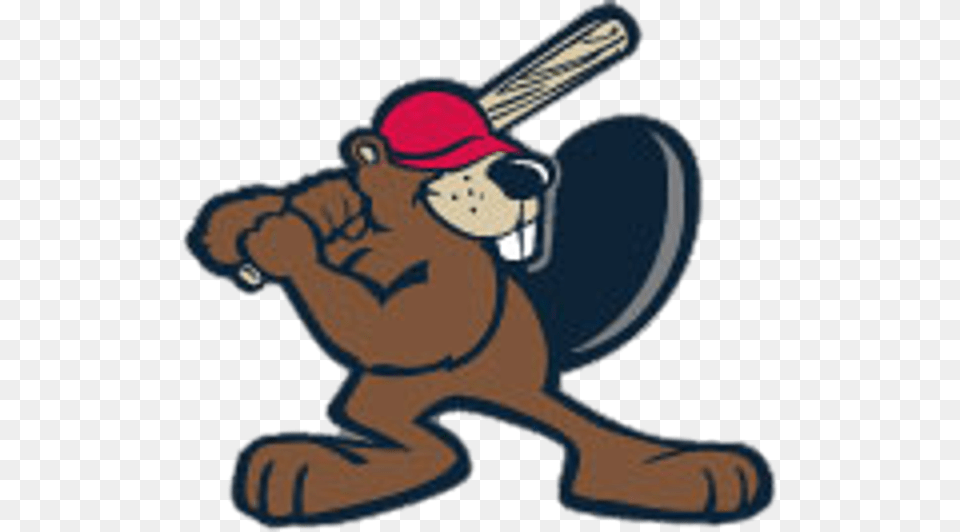 Cartoon Beavers Play Baseball, People, Person, Animal, Wildlife Png