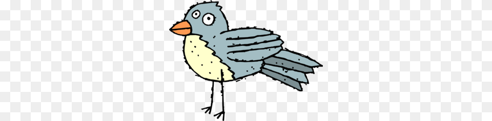 Cartoon Bird Clip Art, Animal, Beak, Finch, Jay Free Png Download