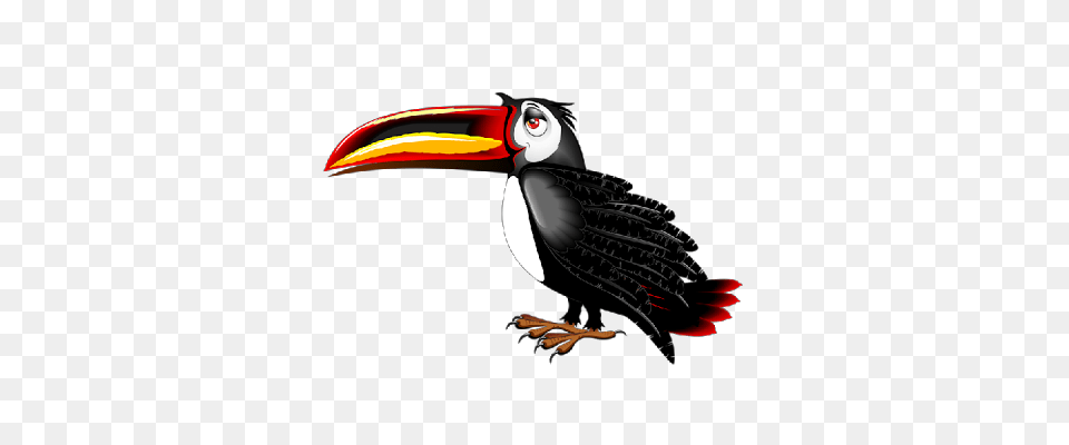 Cartoon Bird Clip Art Animals Clipart Cartoon, Animal, Beak, Toucan Png