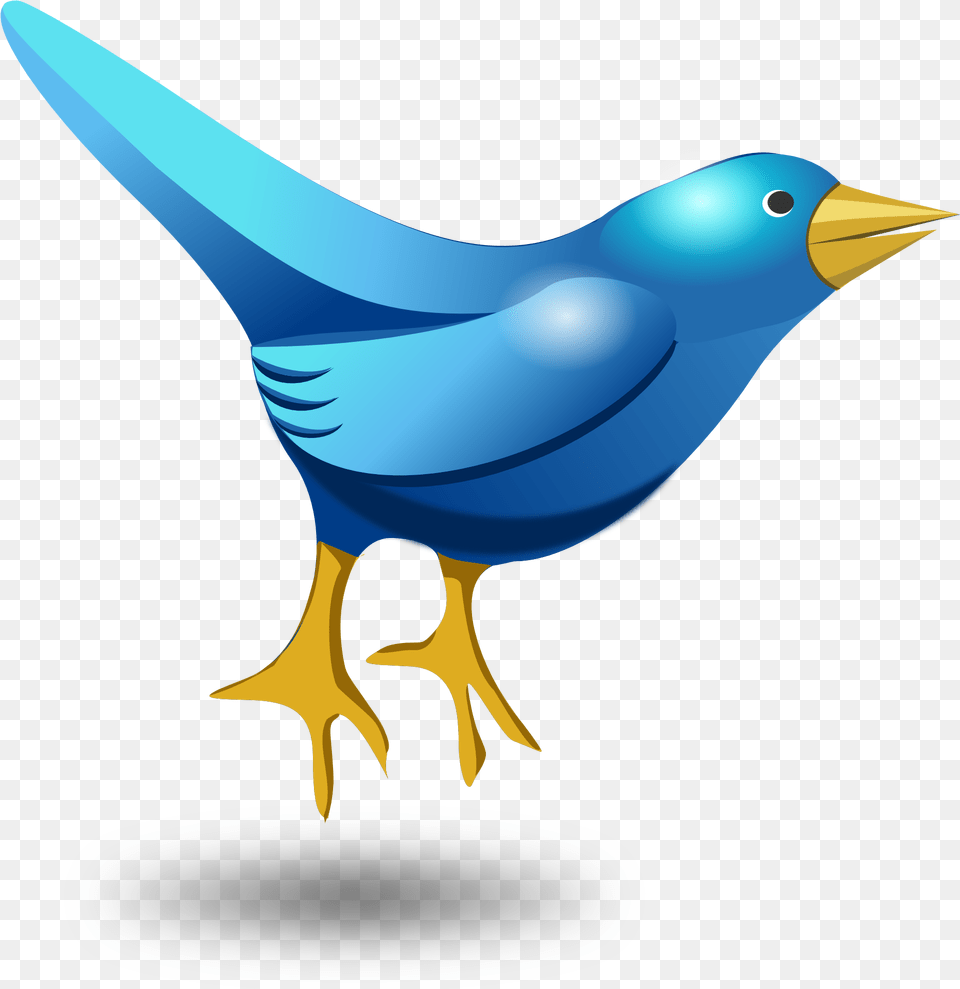 Cartoon Bird Clip Art Birds For Grade, Animal, Beak, Jay, Fish Png Image