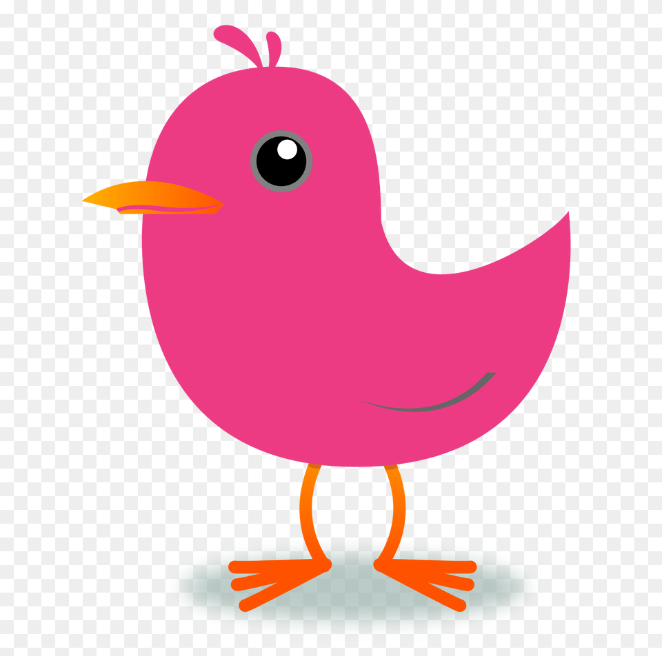 Cartoon Bird Clipart, Animal, Beak Free Transparent Png