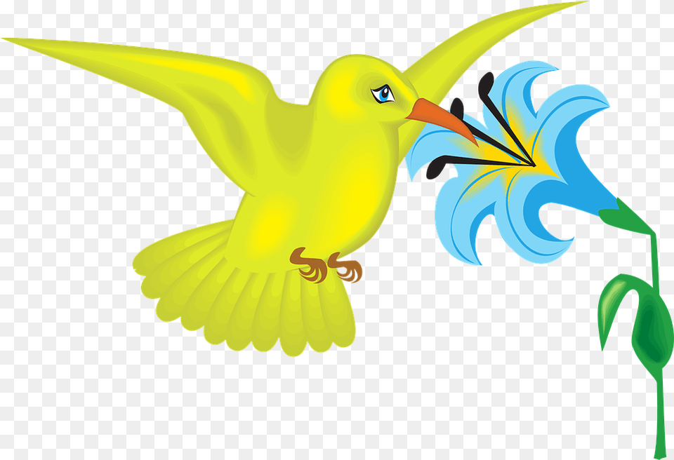 Cartoon Bird Flower And Bird Clipart, Animal Free Png