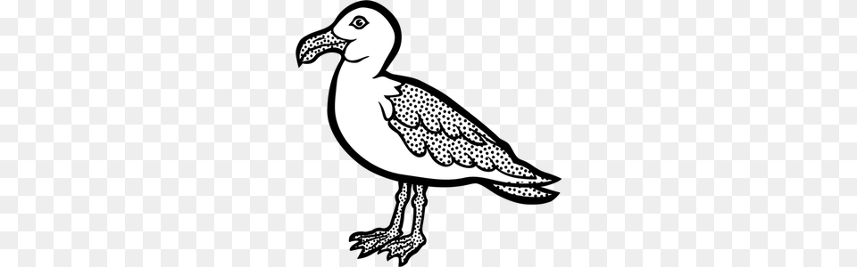 Cartoon Bird Flying Clip Art, Animal, Beak, Seagull, Waterfowl Free Transparent Png