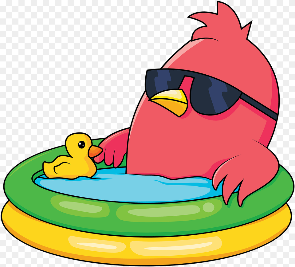 Cartoon Bird Swimming Swimming Cartoon Small Pool, Animal, Toy, Beak Free Png Download