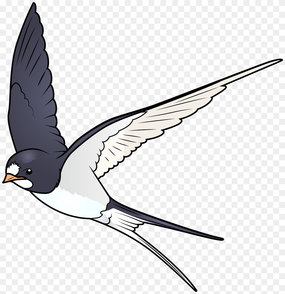 Cartoon Bird Animal, Flying, Swallow, Beak Free Transparent Png