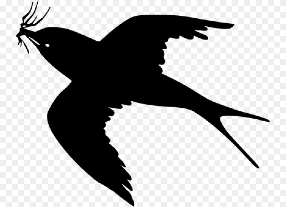 Cartoon Black Bird Flying Images Bird Clipart Flying, Gray Png Image