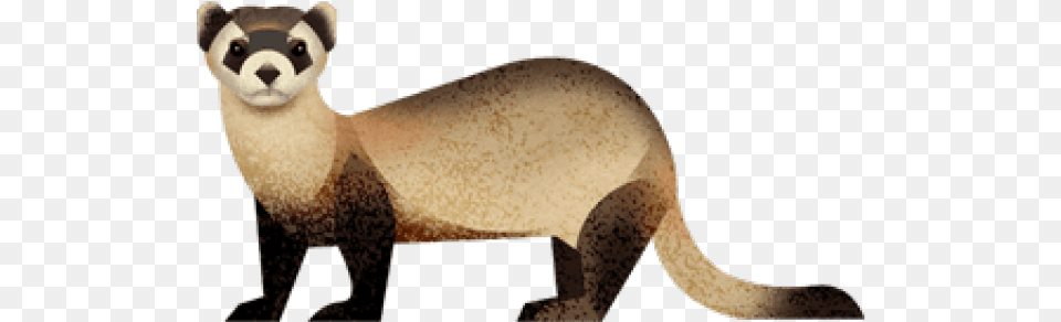 Cartoon Black Footed Ferret, Animal, Mammal, Wildlife Free Transparent Png