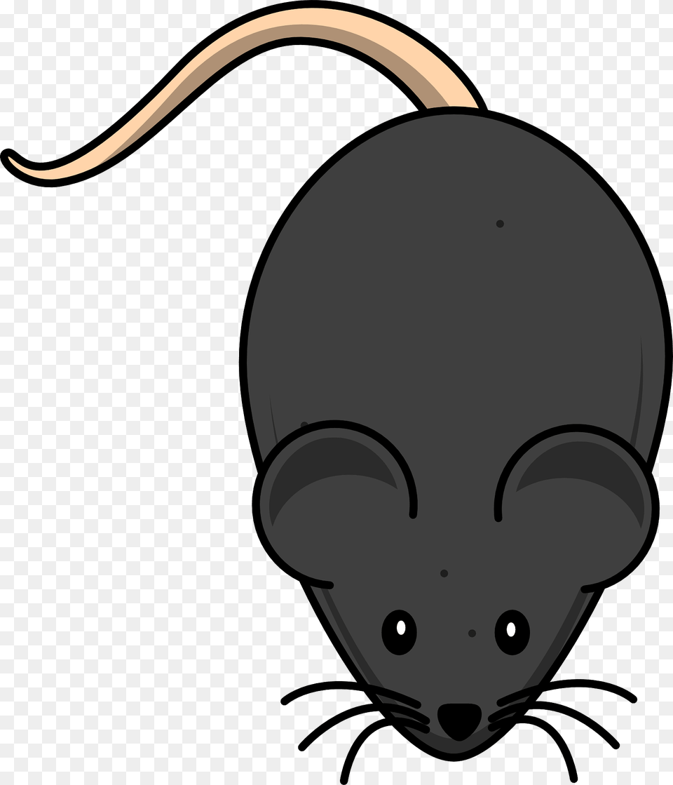 Cartoon Black Mouse Clipart, Animal, Mammal, Rat, Rodent Free Png