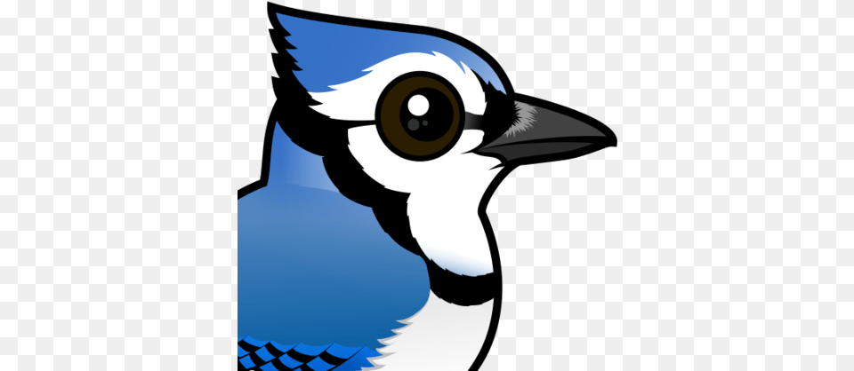 Cartoon Blue Jay Bird Cute Blue Jays Birds, Animal, Blue Jay, Bluebird, Kangaroo Free Png
