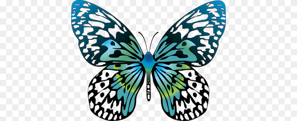 Cartoon Blue Butterfly Clipart, Animal, Insect, Invertebrate Free Transparent Png