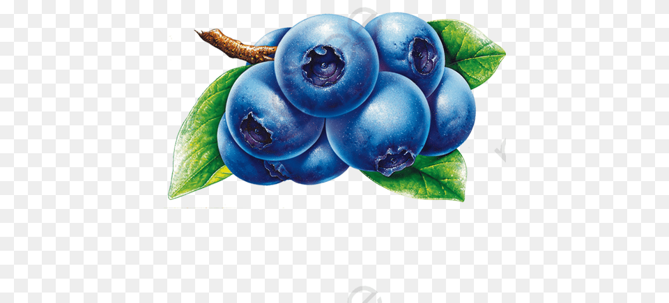 Cartoon Blueberries Blueberries Clipart, Berry, Blueberry, Food, Fruit Free Png Download