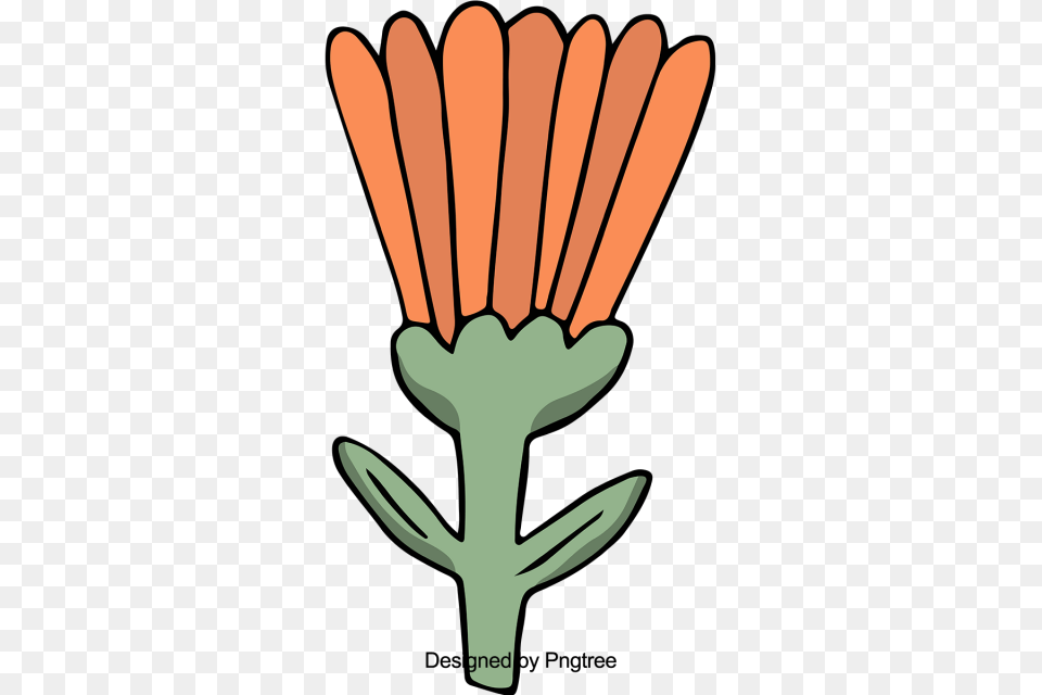 Cartoon Bonito Pintado A Mano Flores De Color De Agua Dibujos, Carrot, Food, Plant, Produce Free Transparent Png