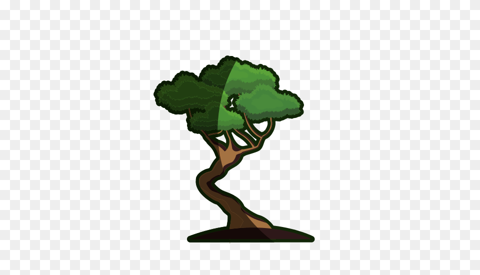 Cartoon Bonsai Tree, Green, Potted Plant, Plant, Outdoors Free Png
