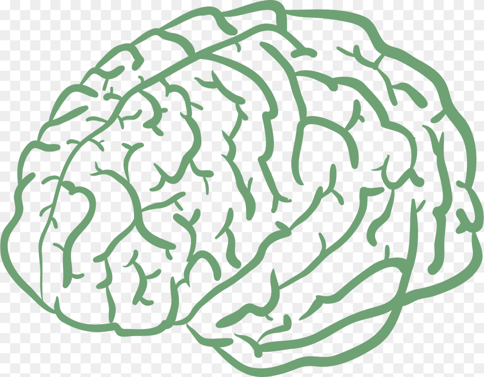 Cartoon Brain Drawing, Food, Leafy Green Vegetable, Plant, Produce Png