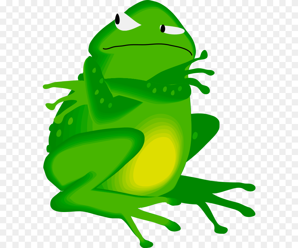 Cartoon Bullfrog, Amphibian, Animal, Frog, Green Free Transparent Png