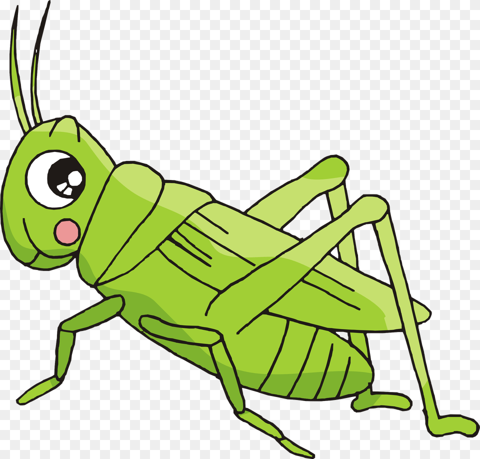 Cartoon Bush Crickets Insect Dibujos Animados De Un Grillo, Animal, Grasshopper, Invertebrate, Cricket Insect Free Png Download