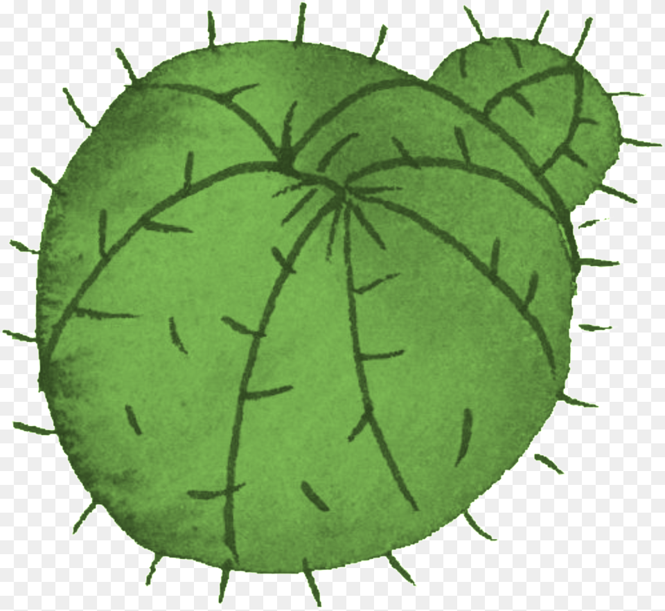 Cartoon Cactus Illustration, Leaf, Plant, Cucumber, Food Free Transparent Png