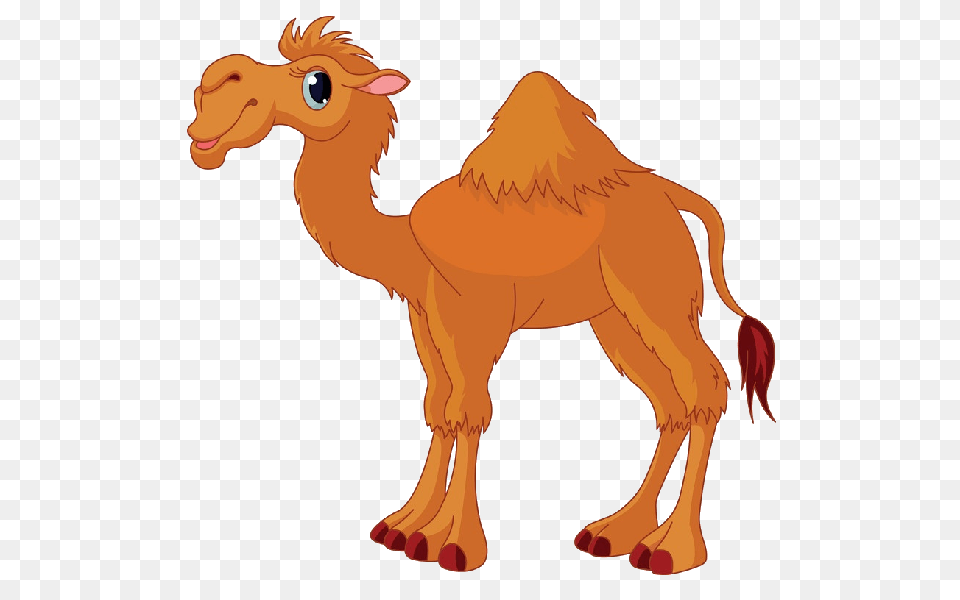 Cartoon Camel Clip Art Images Are To Copy For Your Own, Animal, Mammal Png