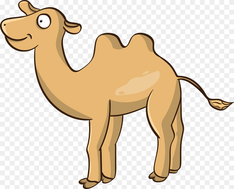 Cartoon Camel Clipart, Animal, Mammal, Kangaroo Free Png Download