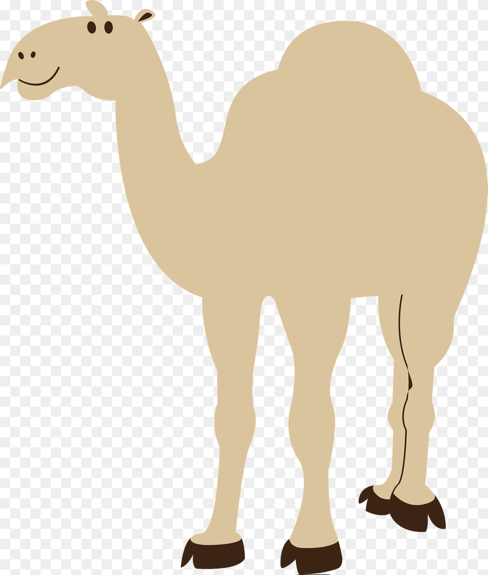 Cartoon Camel Clipart, Animal, Mammal, Bear, Wildlife Free Transparent Png