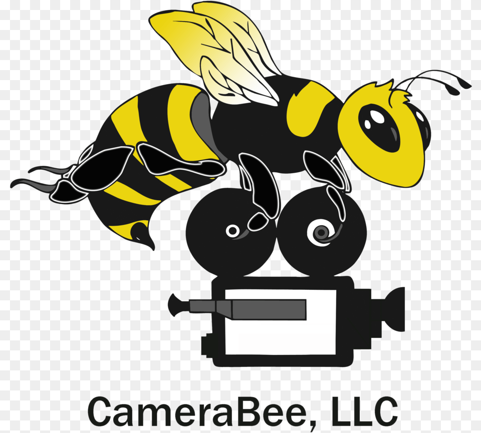 Cartoon Camera, Animal, Bee, Insect, Invertebrate Png