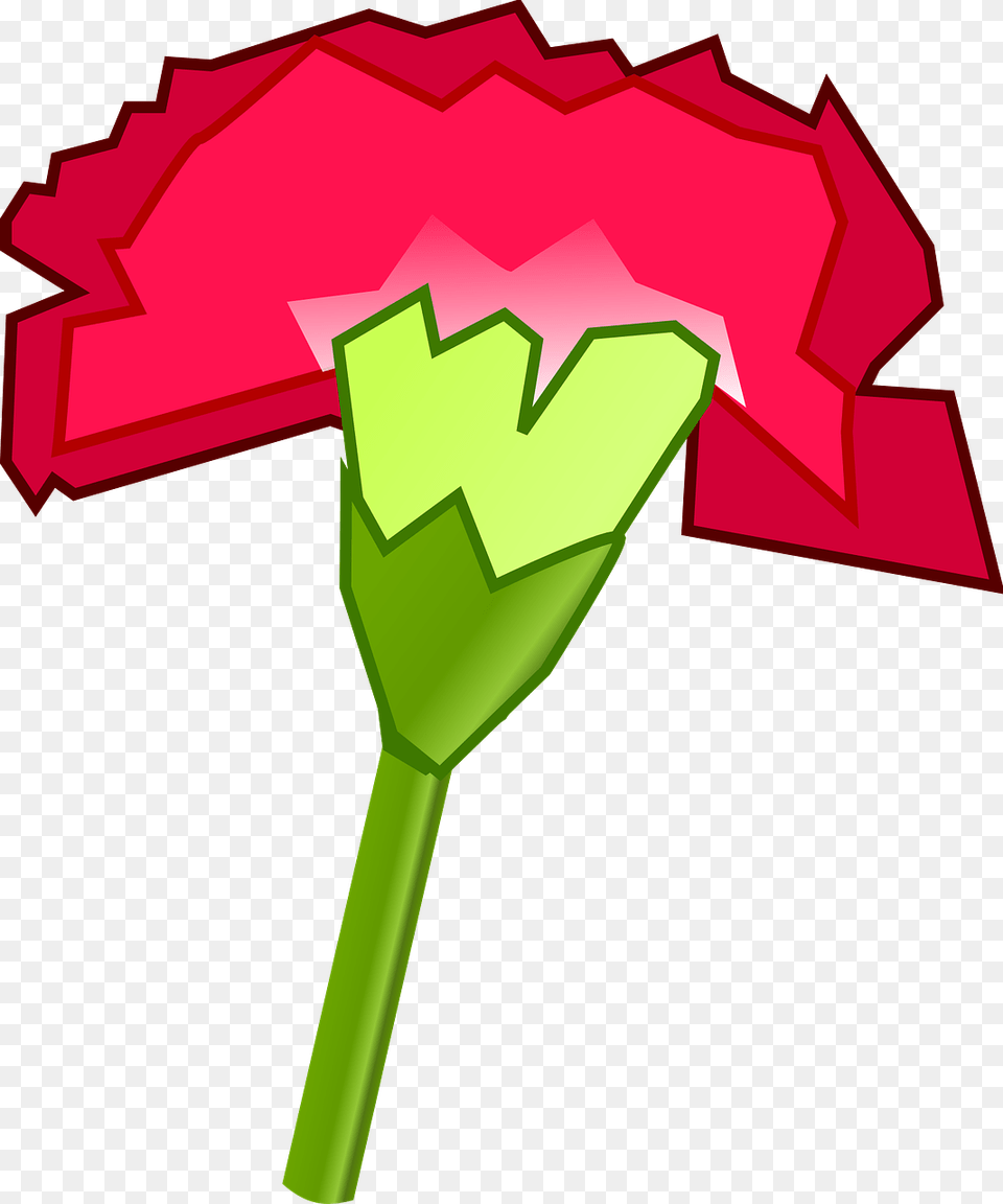 Cartoon Carnation, Flower, Plant, Rose Free Transparent Png