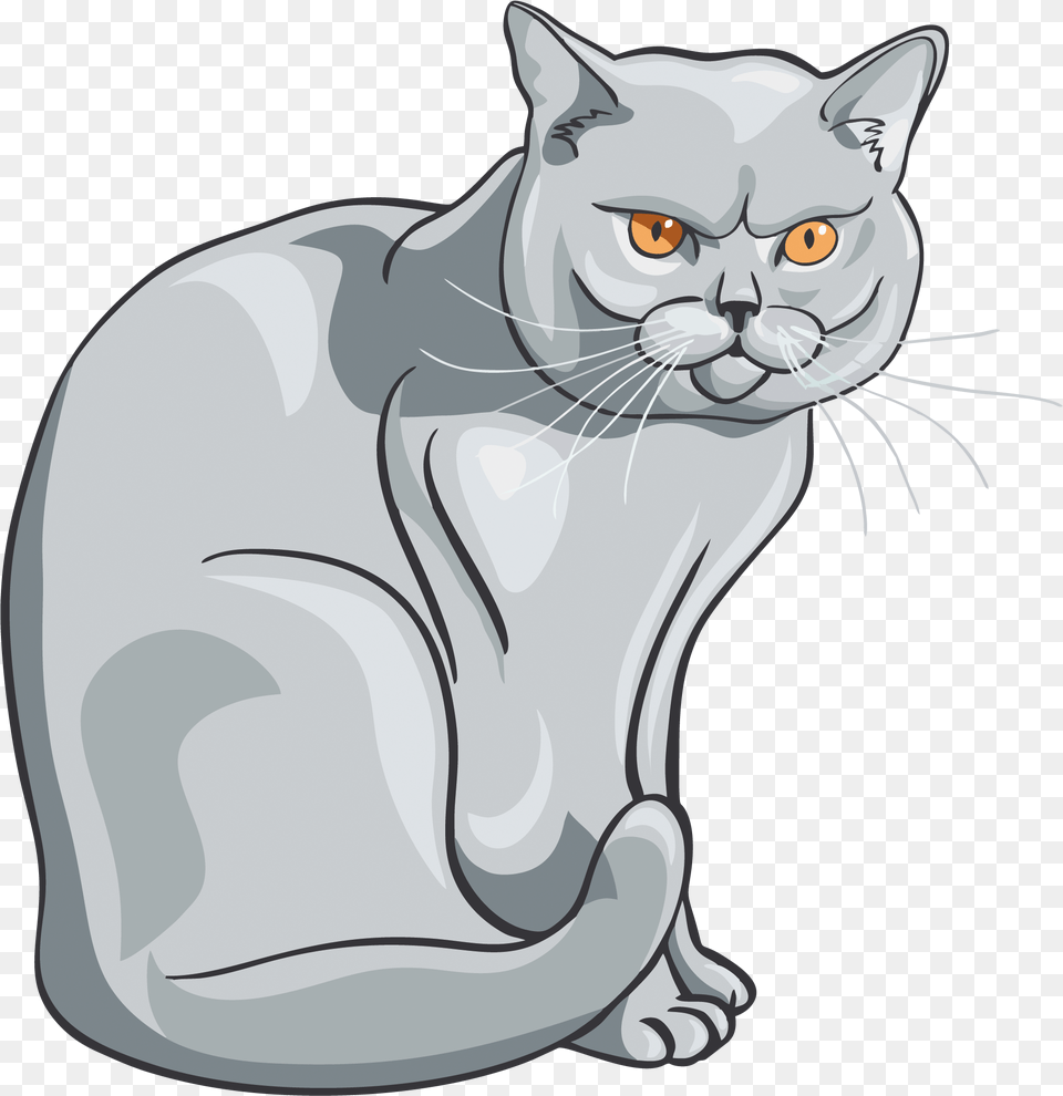 Cartoon Cat Vector, Animal, Mammal, Pet Free Png Download