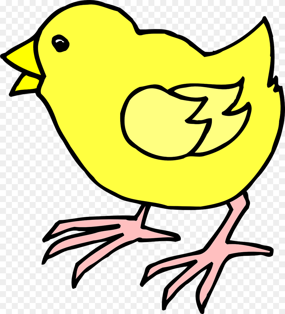 Cartoon Chick Clip Art Cartoon Image Of A Chick, Animal, Bird, Baby, Person Png