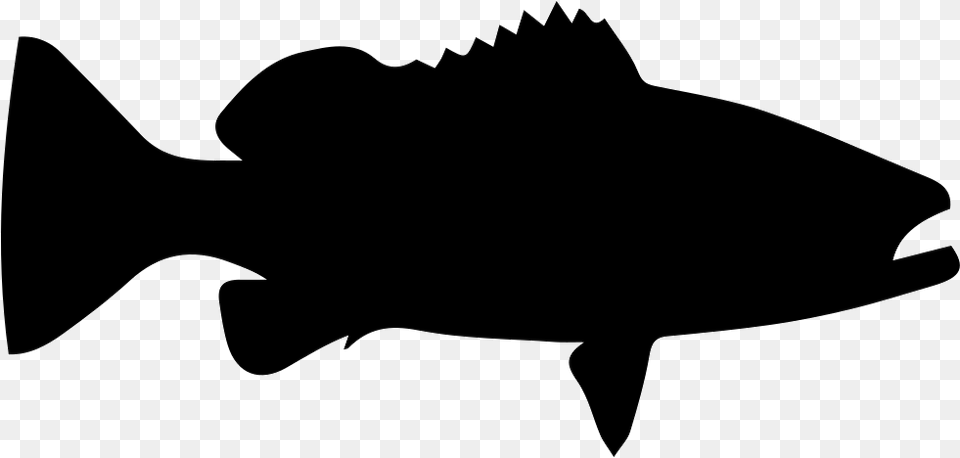 Cartoon Clip Art White Grouper Fish Silhouette, Stencil, Animal, Sea Life, Shark Free Png Download
