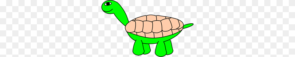 Cartoon Clip Arts, Animal, Reptile, Sea Life, Tortoise Free Png