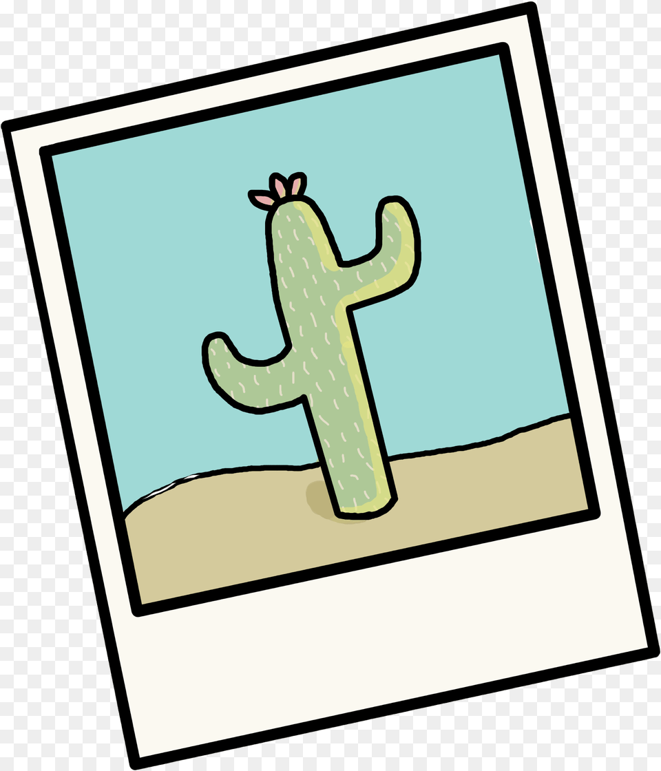 Cartoon Clipart Polaroid Camera Cartoon, Blackboard, Cactus, Plant Png