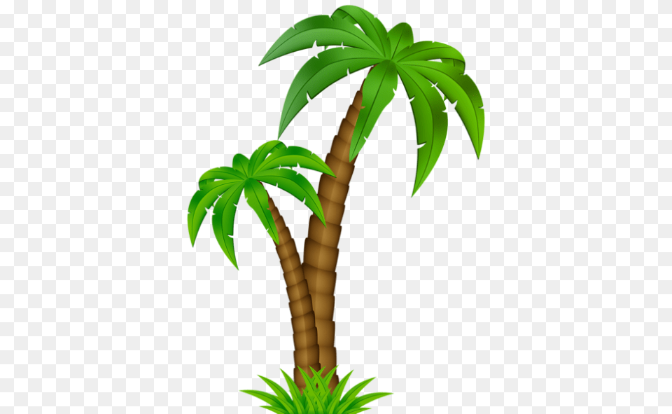 Cartoon Coconut Tree Clip Art, Palm Tree, Plant, Leaf, Person Free Png Download
