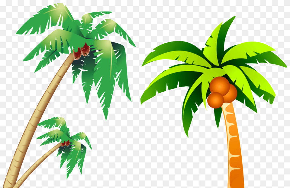 Cartoon Coconut Tree Jingfm Coconut Tree Cartoon, Palm Tree, Plant, Food, Fruit Free Transparent Png