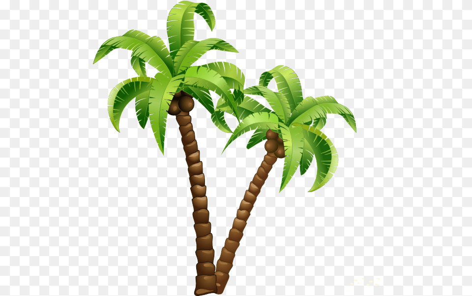 Cartoon Coconut Tree With Transparent Coconut Tree Cartoon, Leaf, Palm Tree, Plant, Vegetation Free Png Download