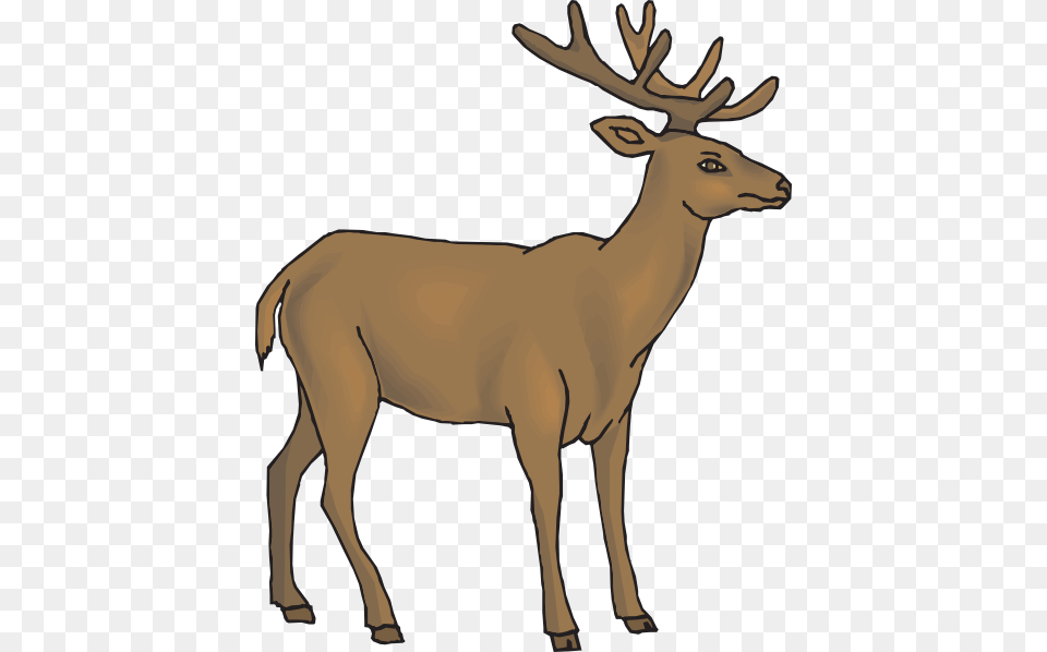 Cartoon Deer Clipart, Animal, Elk, Mammal, Wildlife Free Png Download