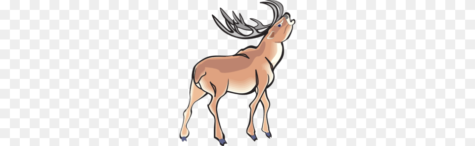 Cartoon Deer Clipart Clipart, Animal, Wildlife, Mammal, Impala Png