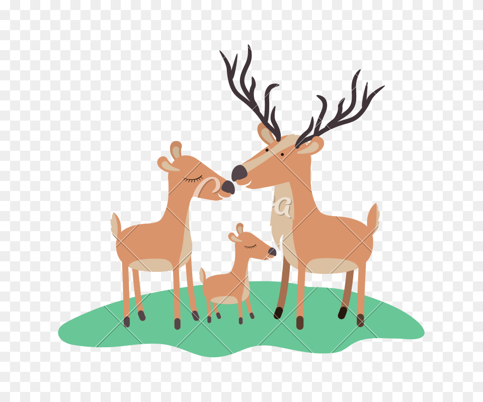 Cartoon Deer Couple And Calf Over Grass In Colorful Silhouette, Animal, Mammal, Wildlife, Antelope Png Image