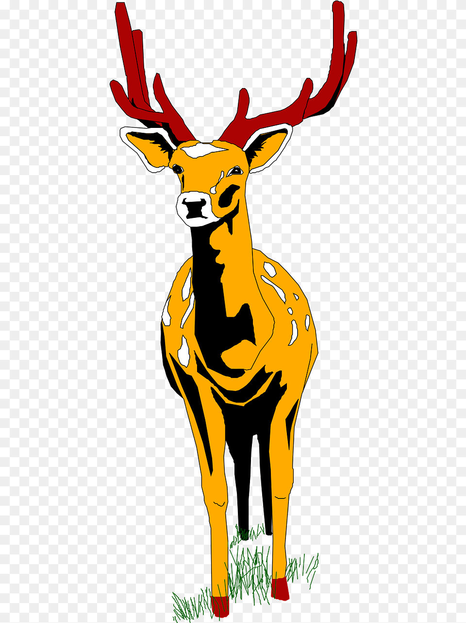 Cartoon Deer Front View, Animal, Mammal, Wildlife, Elk Png Image