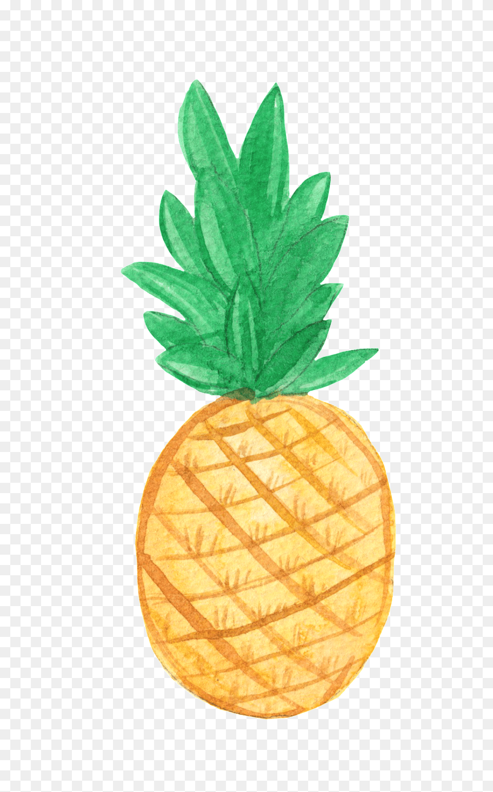 Cartoon Descargar Gratis Y Vector, Food, Fruit, Pineapple, Plant Png Image