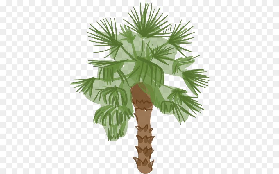 Cartoon Desert Palm Trees, Palm Tree, Plant, Tree, Person Free Png