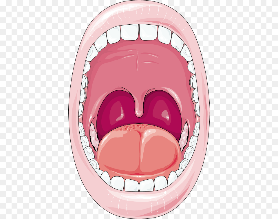 Cartoon Digestive System Mouth, Body Part, Person, Teeth, Tongue Png Image