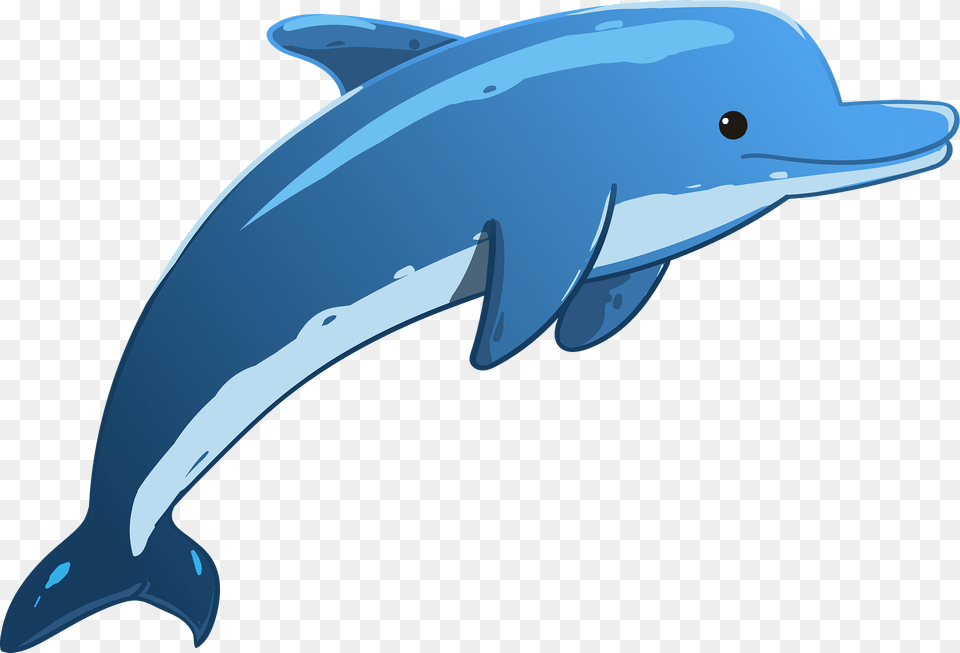 Cartoon Dolphin Clipart, Animal, Mammal, Sea Life, Fish Png Image