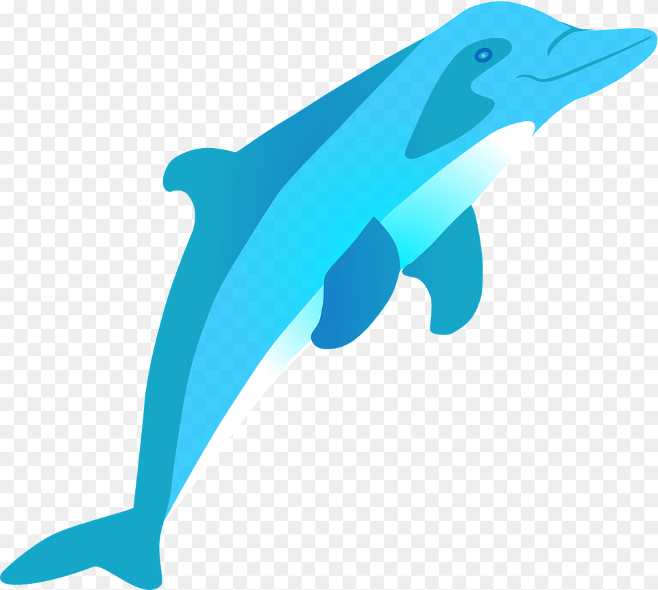 Cartoon Dolphin Jumping Out Of Water, Animal, Mammal, Sea Life, Fish Free Png Download