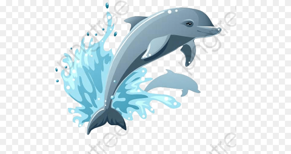 Cartoon Dolphins, Animal, Dolphin, Mammal, Sea Life Free Transparent Png