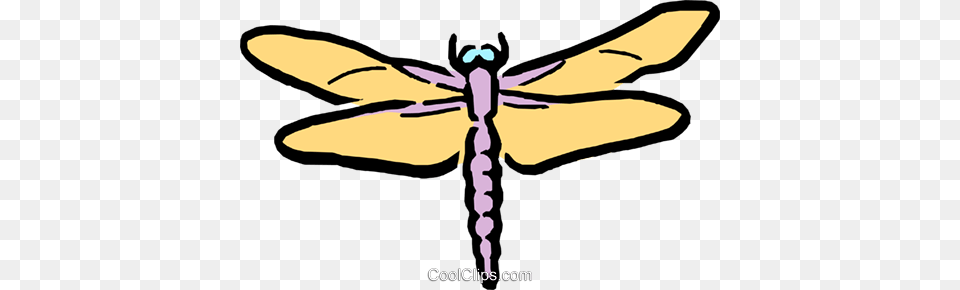Cartoon Dragon Flies Royalty Free Vector Clip Art Illustration, Animal, Dragonfly, Insect, Invertebrate Png Image