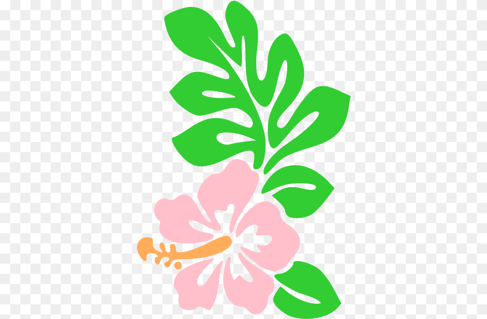 Cartoon Draw Hawaiian Flowers Icon Cute Animated Hawaiian Flowers, Flower, Plant, Hibiscus, Herbal Png Image