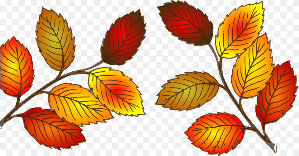 Cartoon Drawing Fall Tree Full Size Seekpng Leaves Clip Art, Leaf, Plant, Pattern Png Image